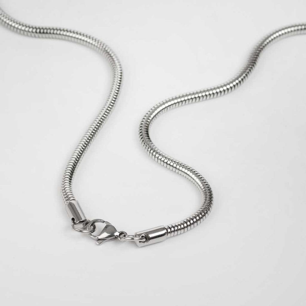 Snake Silver Chain