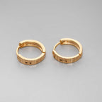 Prism Edge Earring